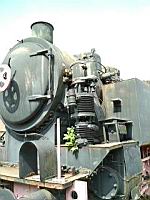 Locomotive Skoda 1435 CS 500 (2019-08-02 - Allemagne, Bundenthal)(8)